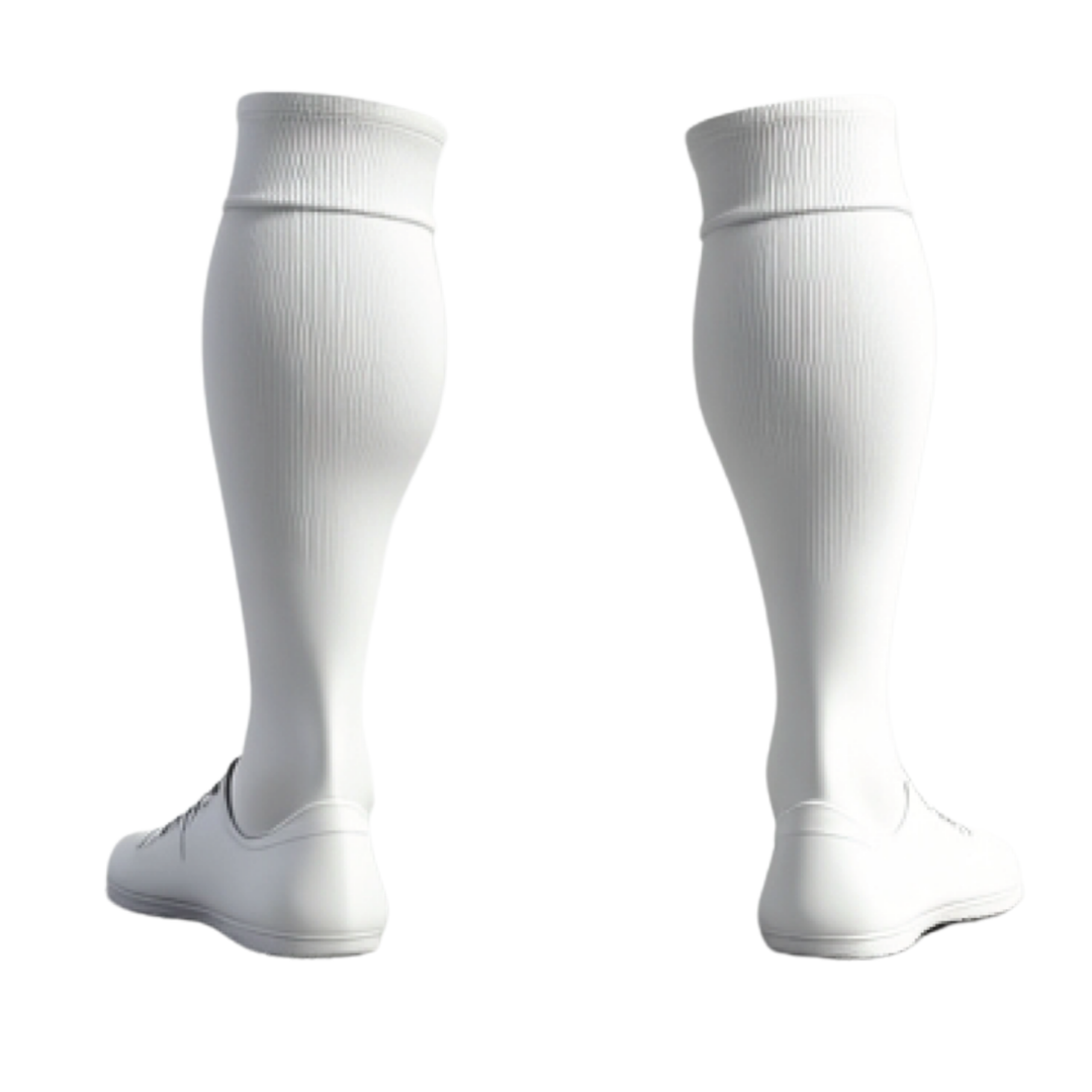 Canton Ticino F.A. Socks