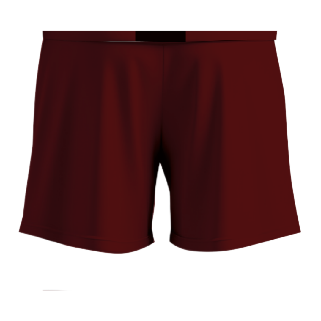 Canton Ticino F.A. Official Shorts
