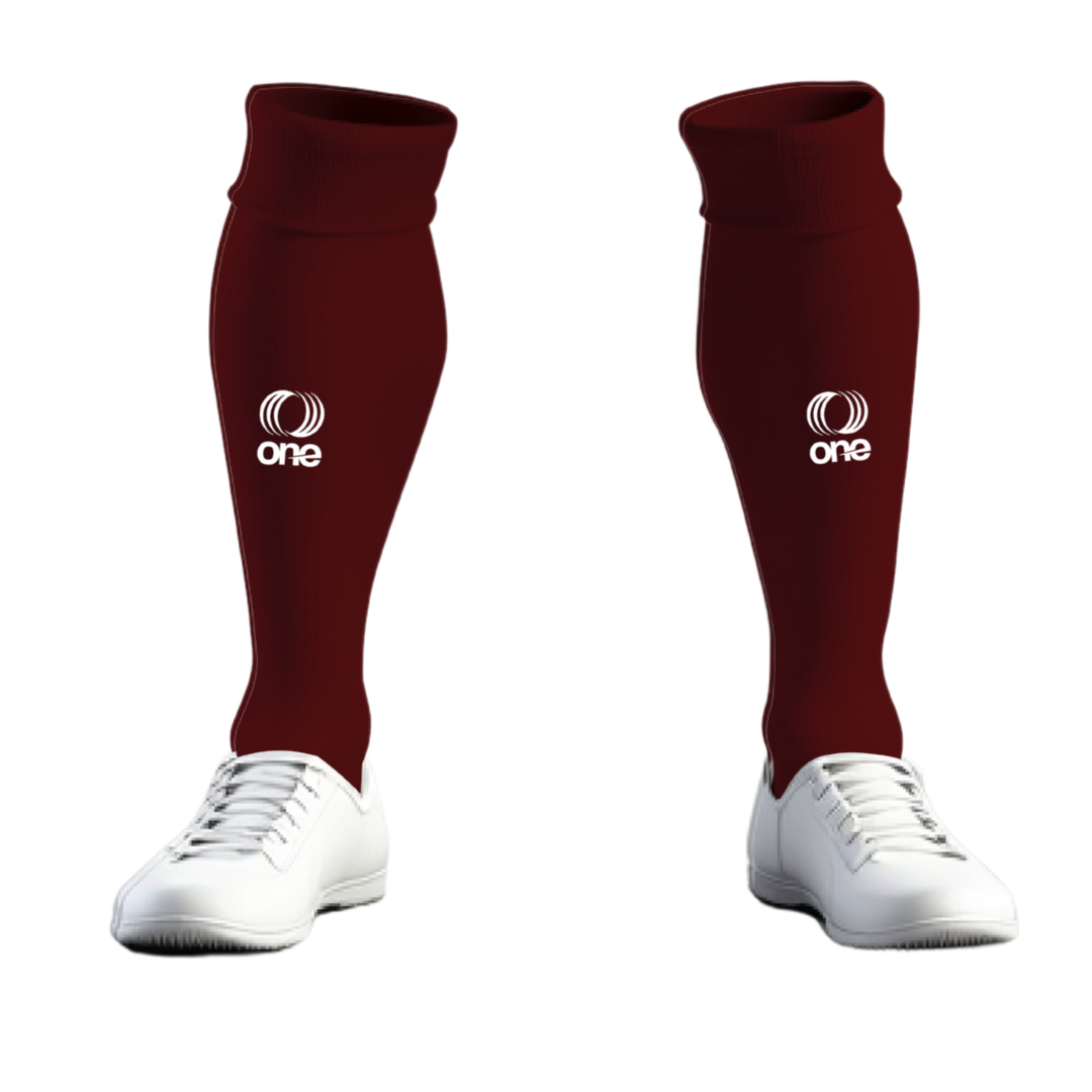 Canton Ticino F.A. Socks