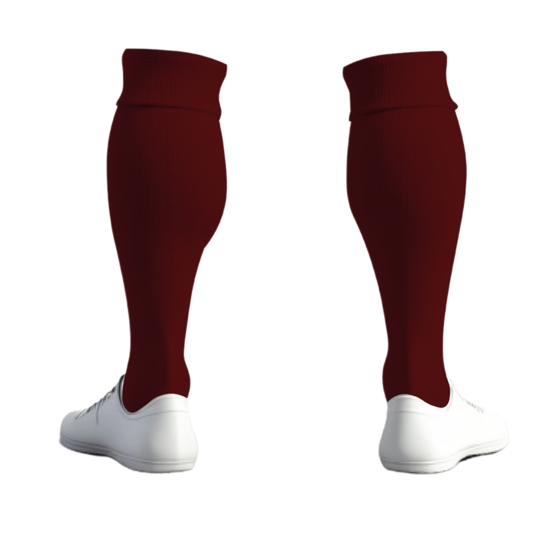 Canton Ticino F.A. Socks