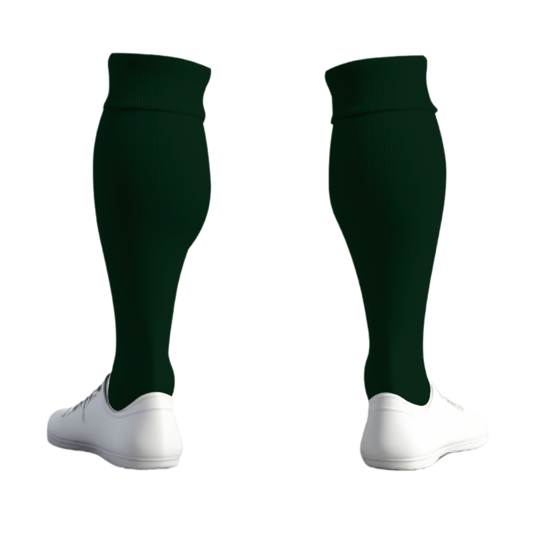 Canton Ticino F.A. Socks