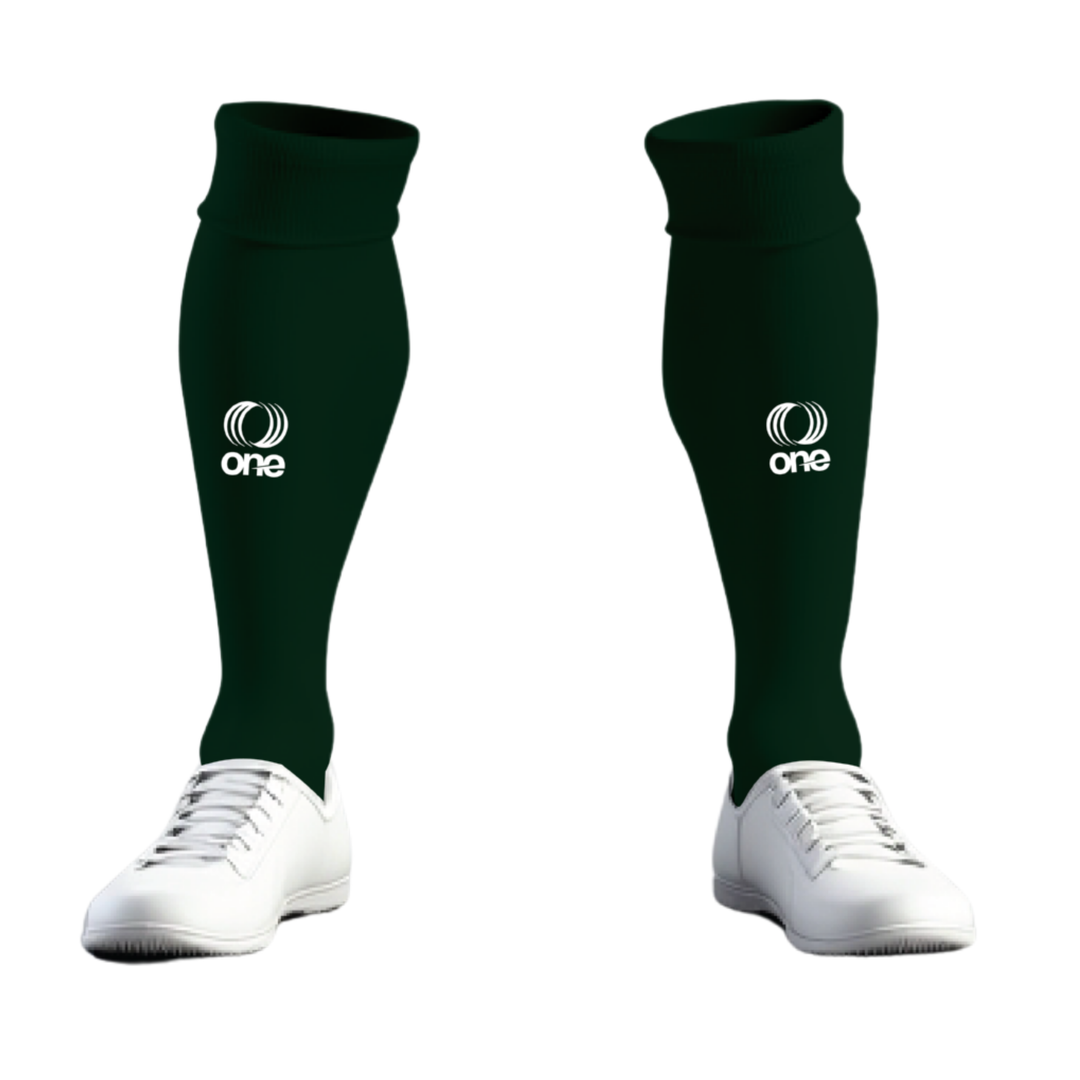 Canton Ticino F.A. Socks