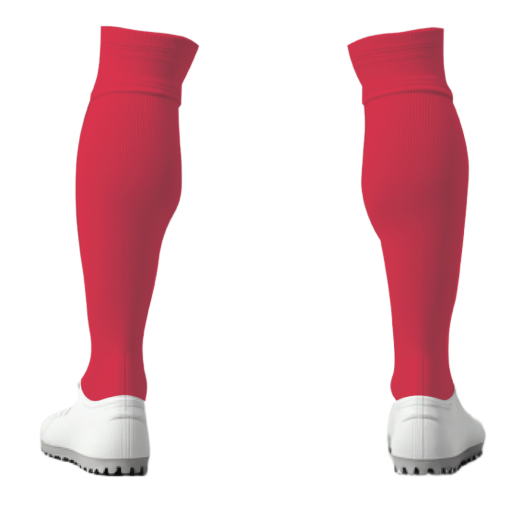 Canton Ticino F.A. Socks