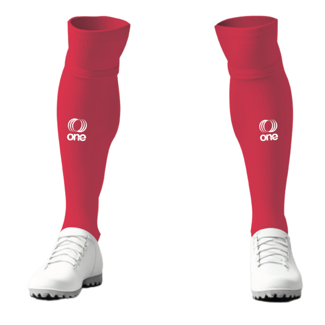 Canton Ticino F.A. Socks