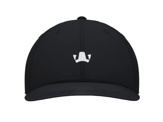 FIFAe World Cup 25™ Cap