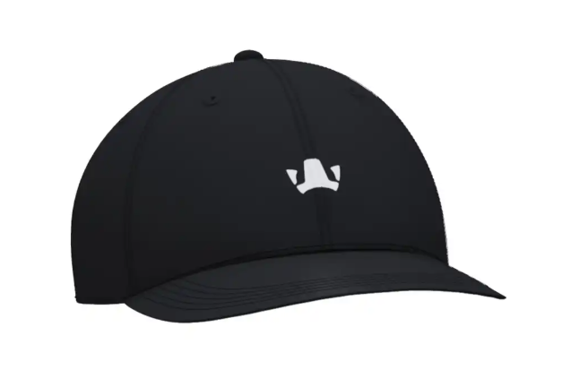 FIFAe World Cup 25™ Cap