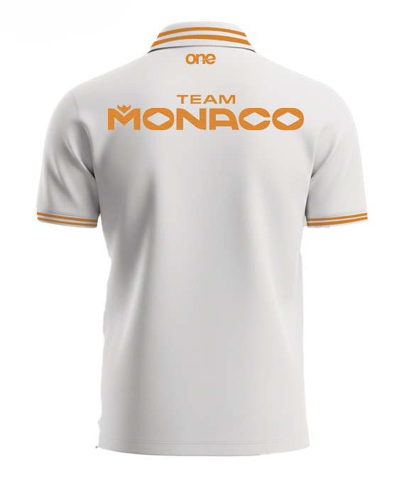 Polo v neck with premium organic heavy weight fabric and embroidery