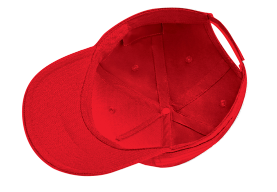 Official Team Monaco Cap