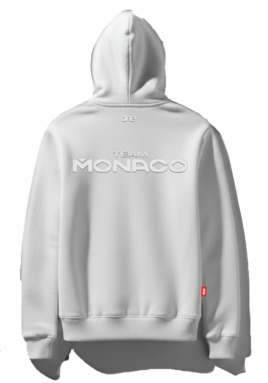 Lifestyle Premium Oragnic cotton Hoody with high desnity prints front and back